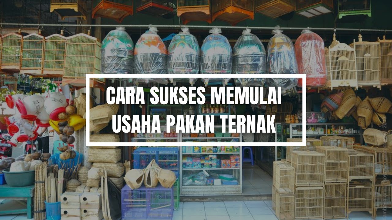 Peluang Bisnis Pakan Ternak