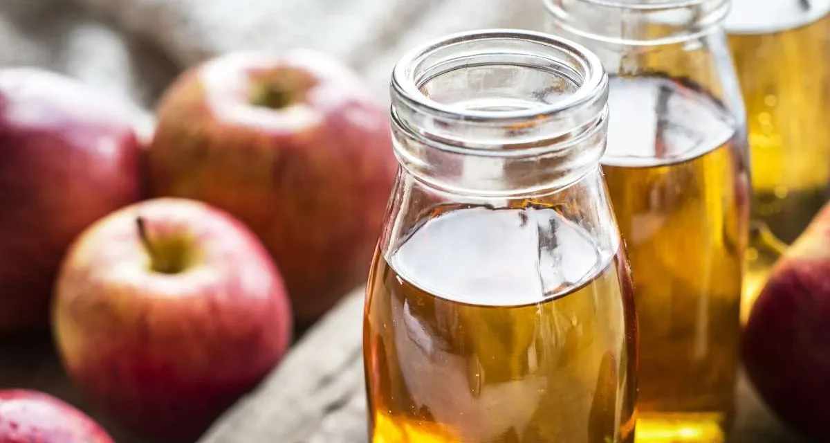 Cuka Ajaib: 3 Cara Mudah Mengusir Lalat Dari Dapur