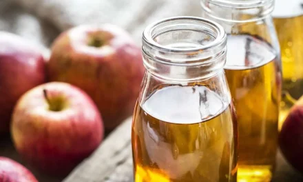 Cuka Ajaib: 3 Cara Mudah Mengusir Lalat Dari Dapur