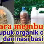 Tips Dan Cara Membuat Pupuk Cair Dari Sisa Nasi Tanpa Ribet