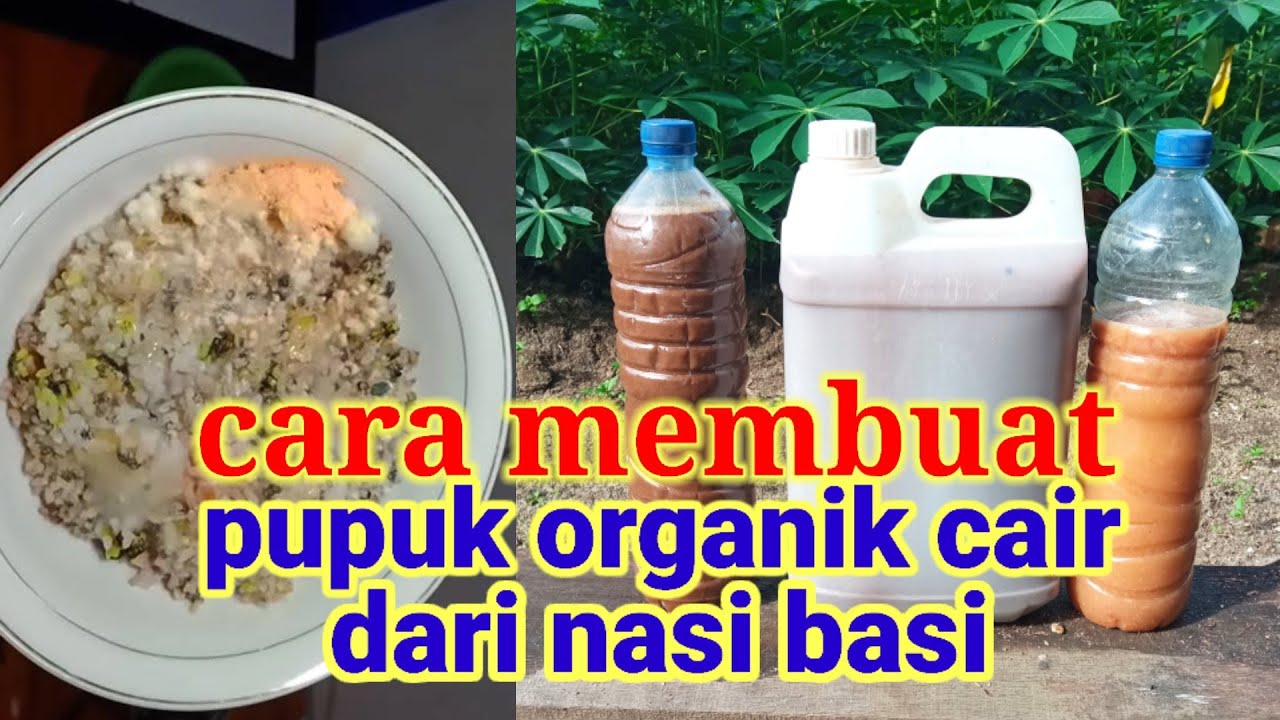 Tips Dan Cara