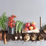 Makanan Organik Vs Konvensional: Mana Yang Lebih Baik?