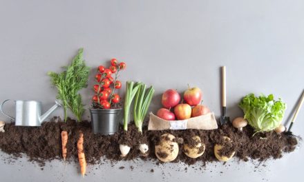 Makanan Organik Vs Konvensional: Mana Yang Lebih Baik?