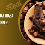 Beragam Khasiat Minyak Cengkeh Di Kenal Sebagai Obat Alami