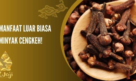 Beragam Khasiat Minyak Cengkeh Di Kenal Sebagai Obat Alami