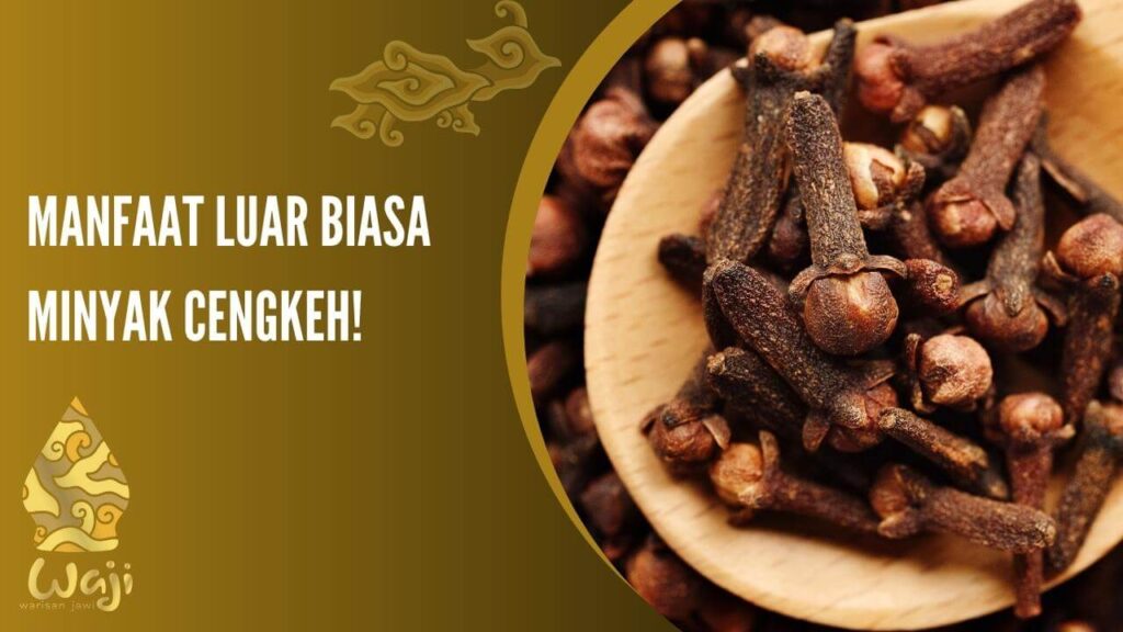 Beragam Khasiat Minyak Cengkeh Di Kenal Sebagai Obat Alami
