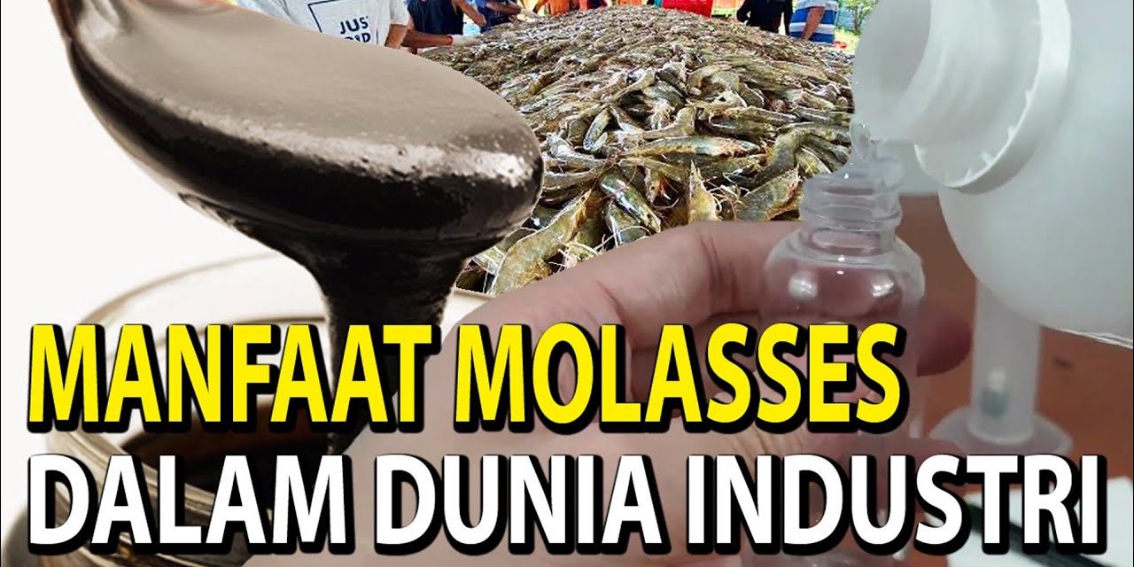 Molase Jadi Energi, Kini Jadi Incaran Karena Ramah Lingkungan