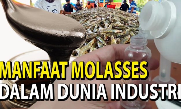 Molase Jadi Energi, Kini Jadi Incaran Karena Ramah Lingkungan
