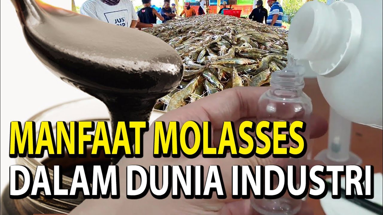 Molase Jadi Energi