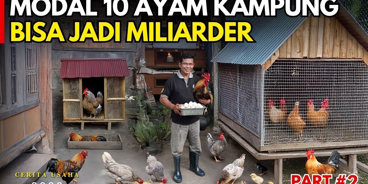 Ternak Harian Modal Kecil Yang Hasilnya Rutin Dibeli Warung
