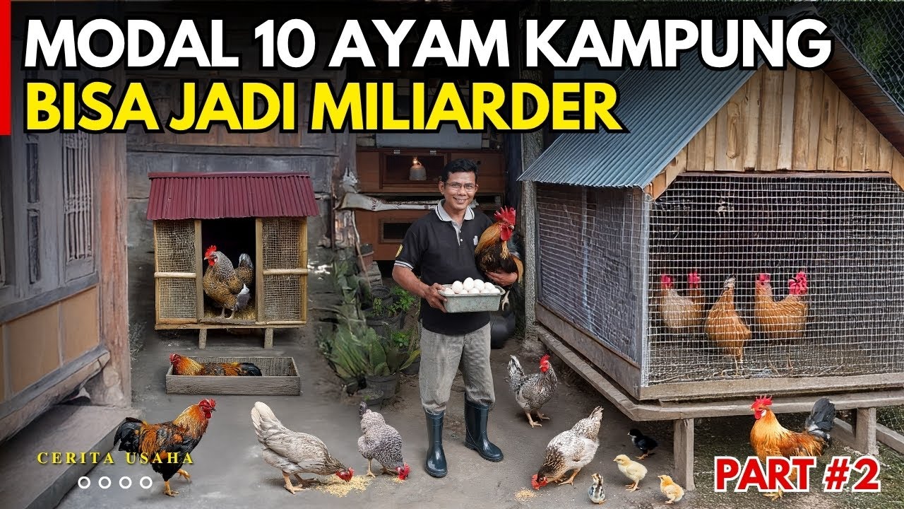 Ternak Harian