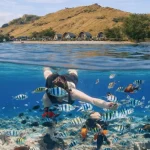 Pesona Pulau Sebayur: Permadani Biru Berada Di Labuan Bajo