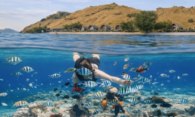 Pesona Pulau Sebayur: Permadani Biru Berada Di Labuan Bajo