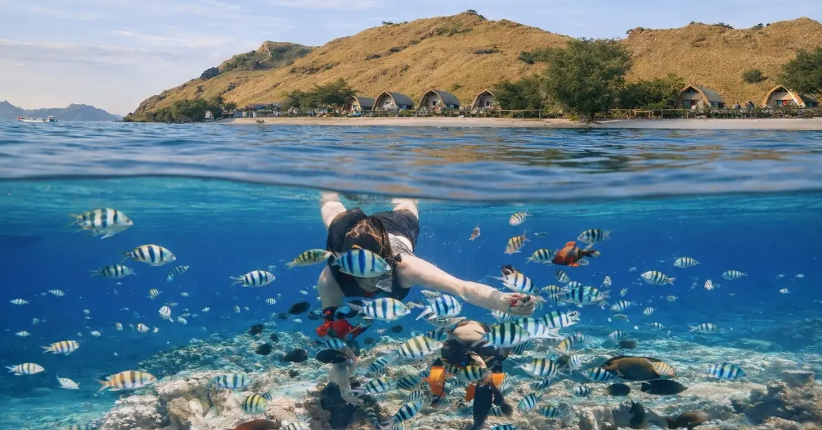 Pesona Pulau Sebayur: Permadani Biru Berada Di Labuan Bajo