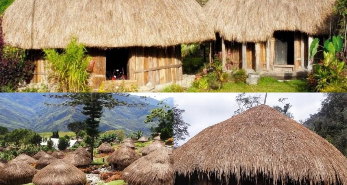 Rumah Honai Simbol Budaya Dan Kehidupan Suku Dani Di Papua