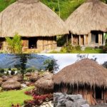 Rumah Honai Simbol Budaya Dan Kehidupan Suku Dani Di Papua