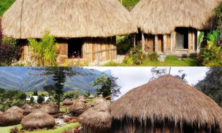 Rumah Honai Simbol Budaya Dan Kehidupan Suku Dani Di Papua